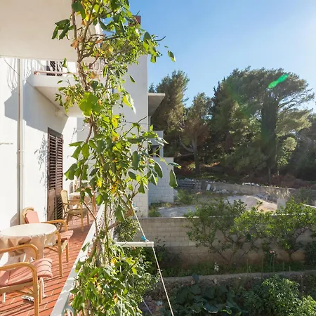 Anka 2 Apartamento